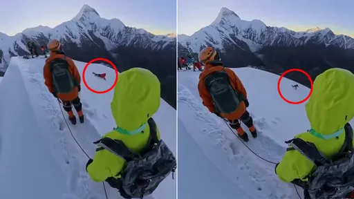 影片|登5588m雪山「拍照時墜崖亡」 他為喬角度解安全繩釀悲劇