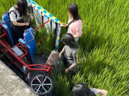 樺加沙風強 這車4女被吹落水田「沾滿泥」