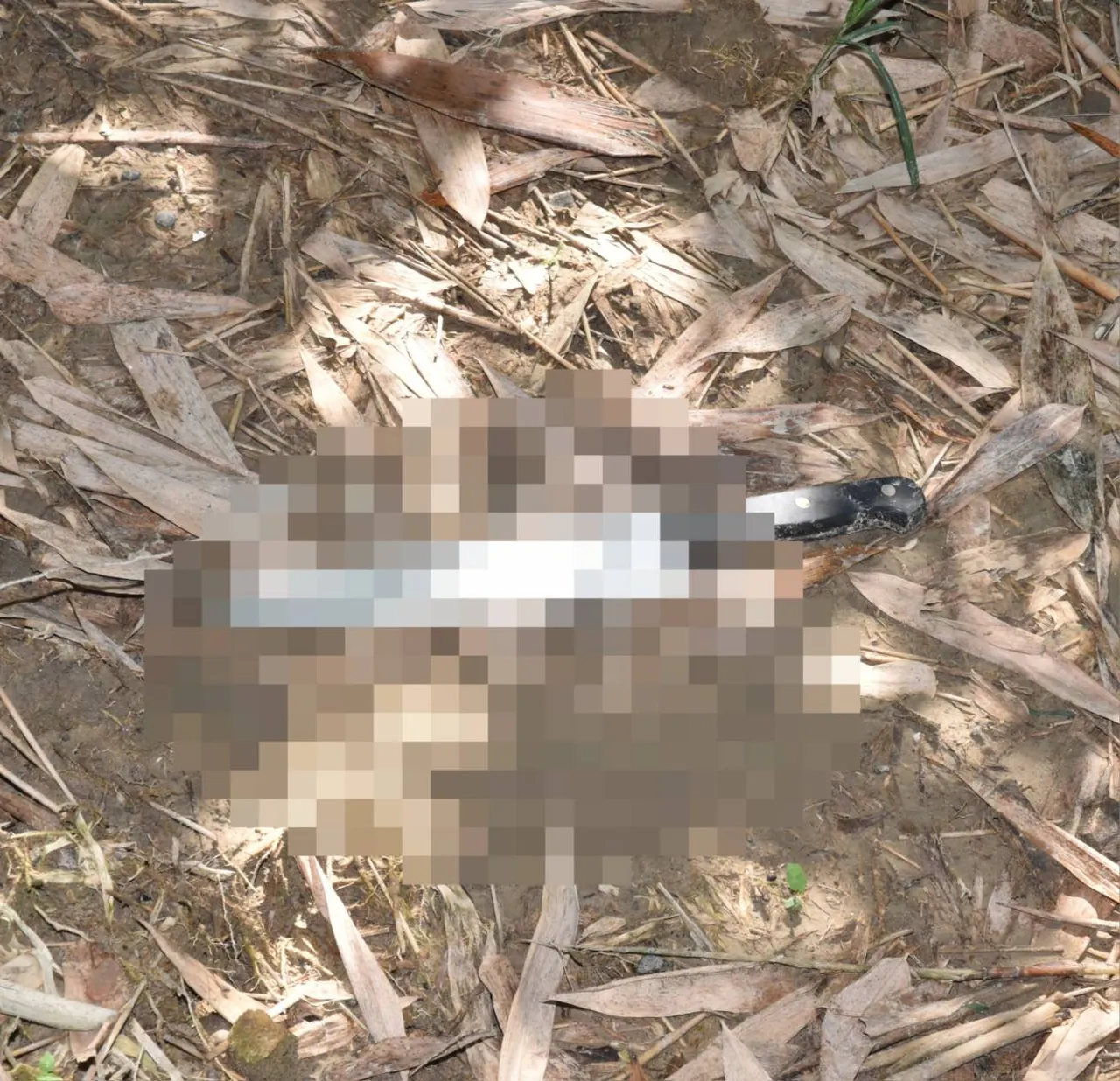 李男遭菲籍移工持刀砍死。翻摄画面