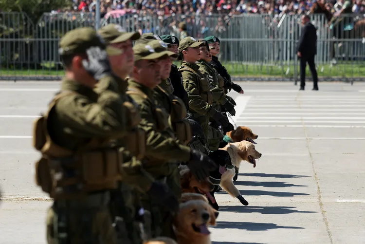 智利警犬隊參加閱兵。路透社