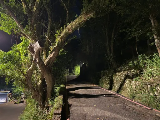 新店男半夜不明原因路倒 慘遭計程車輾斃