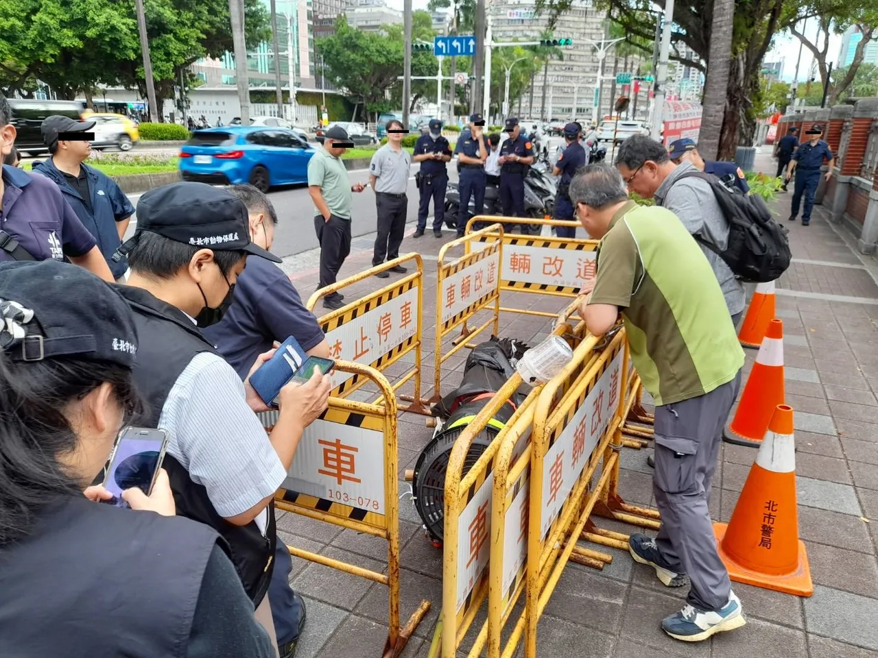 动保员与警方合力将鳄鱼固定,避免牠挣脱或受伤。台北市动保处提供