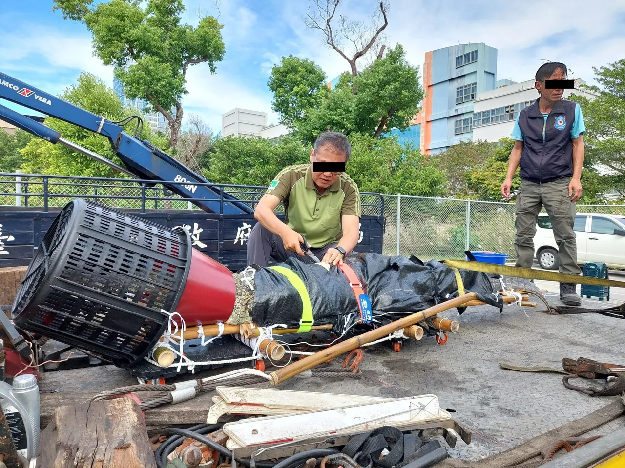 动保处人员现场监测鳄鱼状况,并协调运返嘉义饲养场。台北市动保处提供