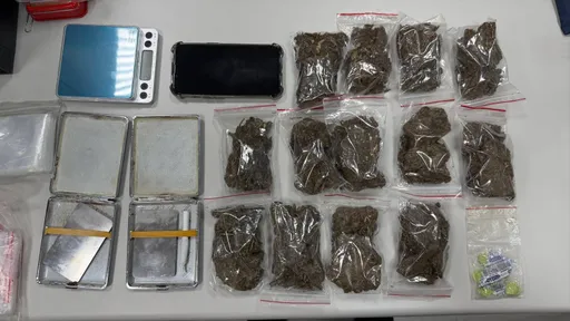 全國檢警憲動員逾千人次掃蕩大麻黑數 涉栽種、吸食及持有245人遭逮