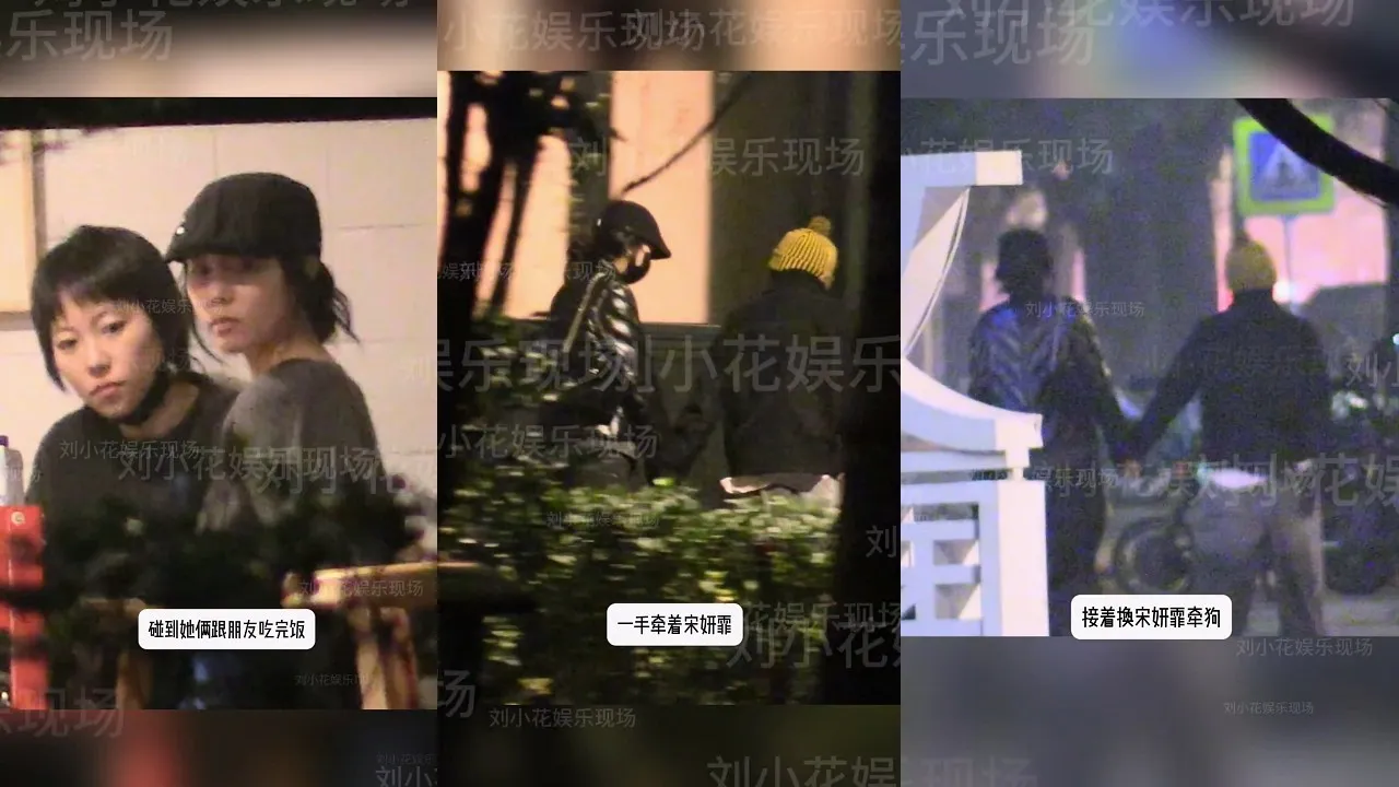 狗仔拍到窦靖童和宋妍霏与友人聚餐后一同离开,手牵手轮流遛狗。翻摄刘一朵娱乐现场微博