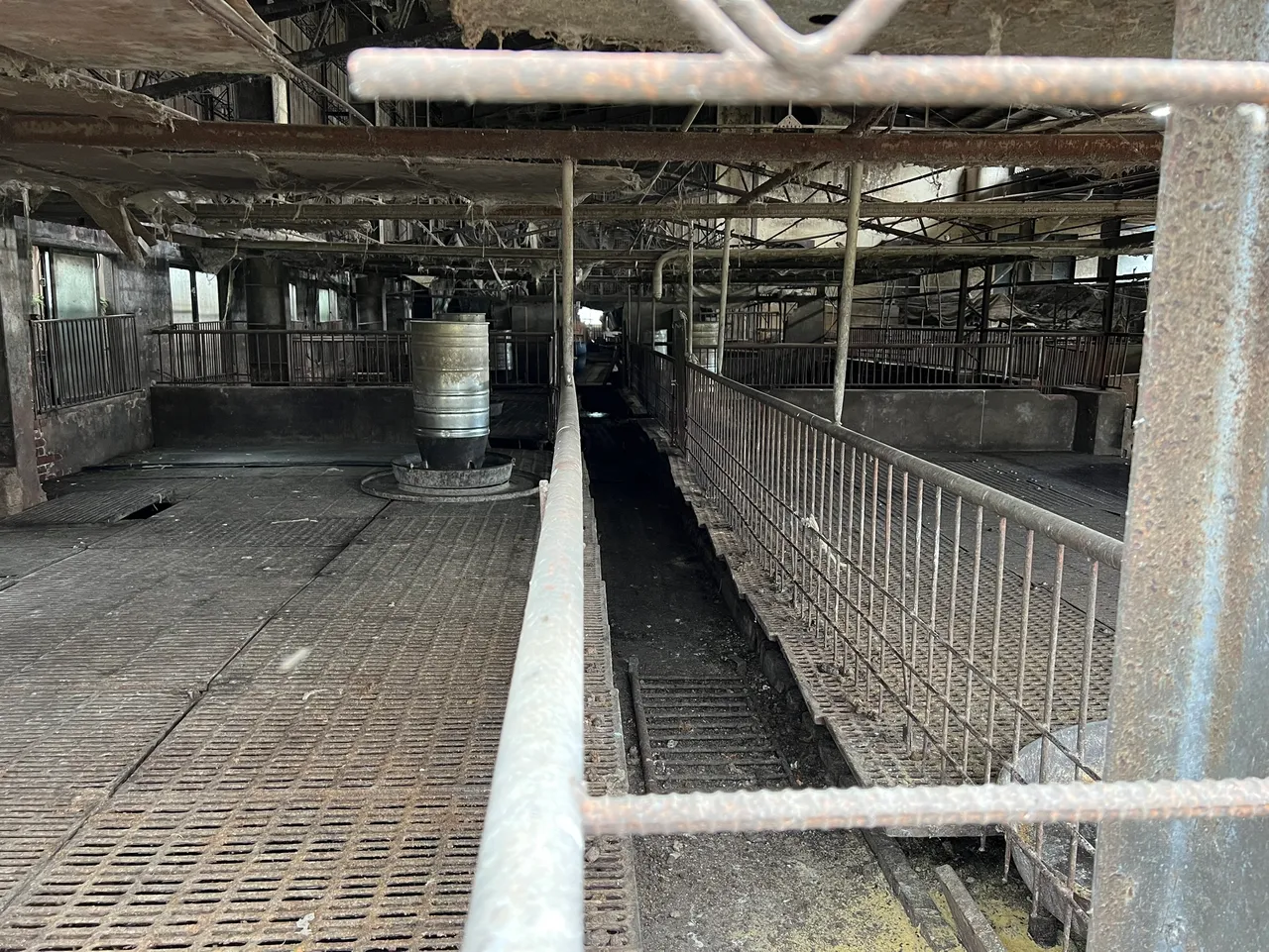 被验出非洲猪瘟的养猪场已净空消毒。民众提供
