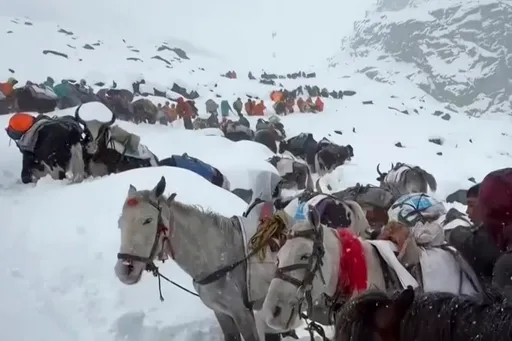 圣母峰暴雪淹到大腿深 救援队率受困近千人跋涉下山