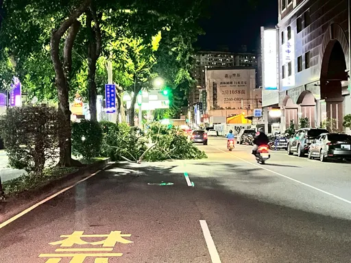风神共伴太强!台中路树被吹倒 警加派支援排除