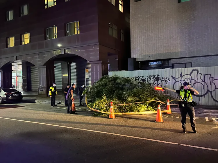 風神共伴效應帶來強風，台中路樹遭吹倒倒在路中影響交通。翻攝畫面