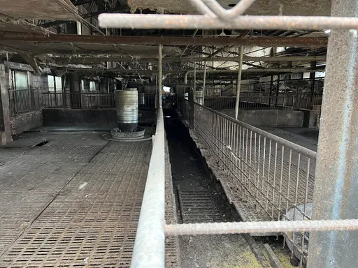 台中梧棲非洲豬瘟養豬場空無一人 曾兩度因放流水超標遭罰款
