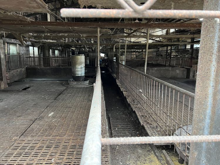 台中梧棲非洲豬瘟養豬場空無一人　曾兩度因放流水超標遭罰款