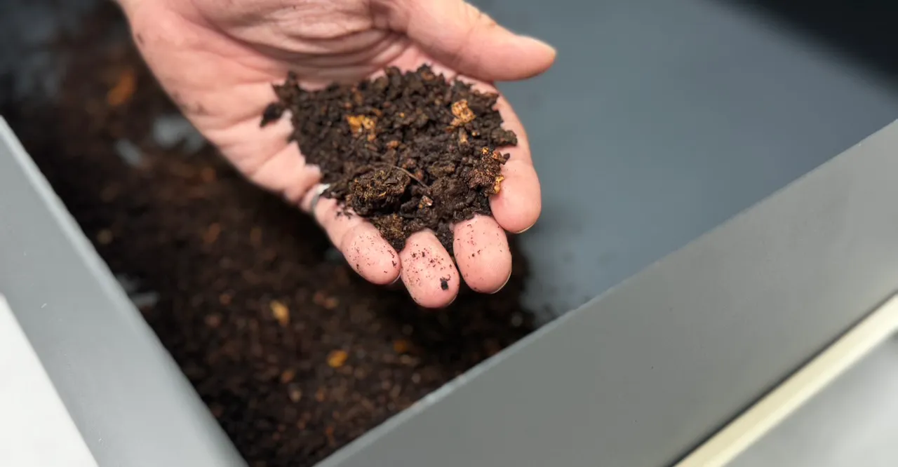 处理完后的厨余,成为干燥的粉末,可直接丢入一般垃圾中