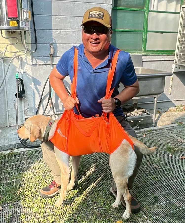 急診部高正國醫師親自協助搜救犬體驗救援背帶，了解實際使用情況。光田醫院提供
