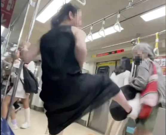 黑衣男被甩包打腿逼讓座，不滿起身直接一角將白髮老婦人踢飛。翻攝自Threads