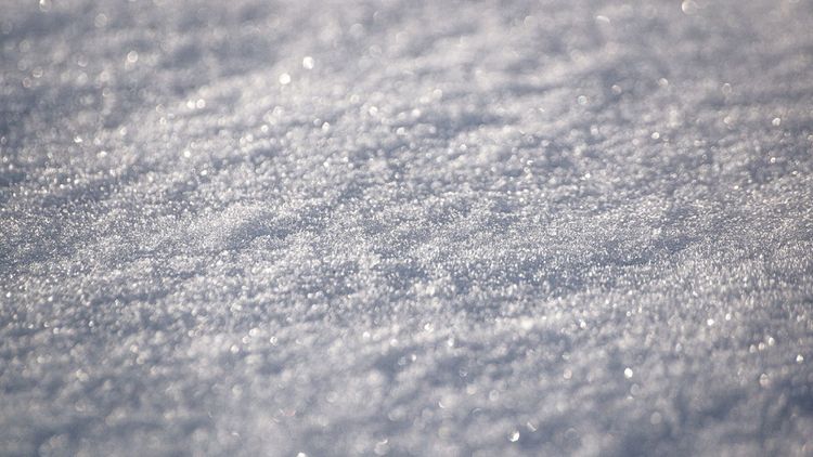 霜降大豐收 5生肖財運亨通