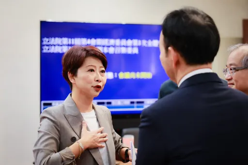 陳亭妃出任經濟委員會召委:聚焦災後重建預算