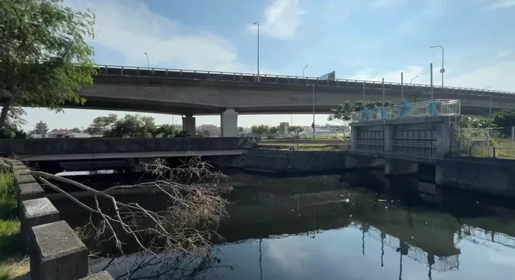 民眾目擊的地點就在南區灣裡萬年殿對面大排。民眾提供