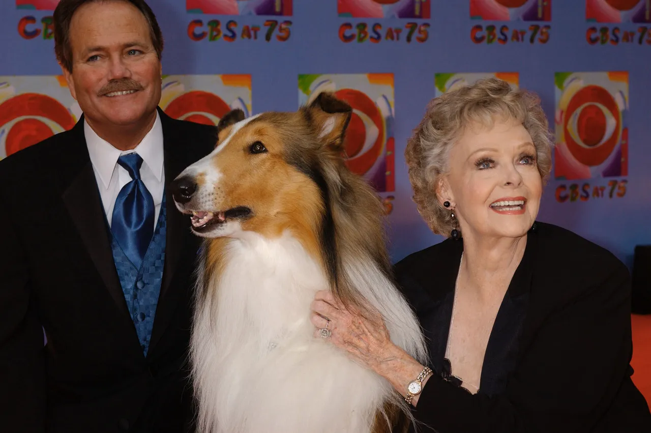 完美母親角色!「靈犬萊西」女星瓊洛克哈特辭世 享嵩壽100歲