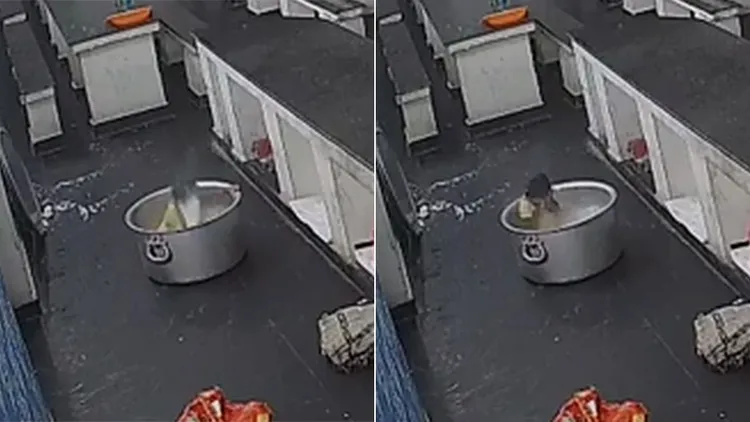 女娃因為跌入鍋裡時尖叫，熱牛奶灌入體內，雖然被緊急送醫仍不幸身亡。翻攝自YouTube