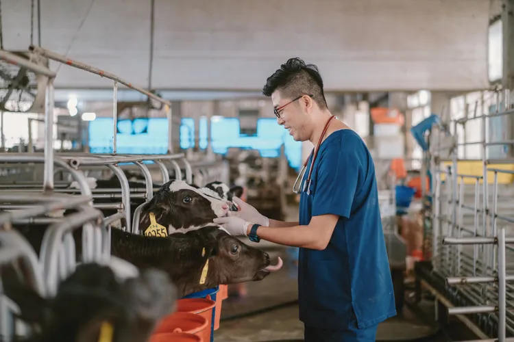 鮮乳坊品牌堅持以動物福利為核心，從營養、健康監測到擠乳設備，全程數據化管理，讓鮮乳品質穩定且可追溯。