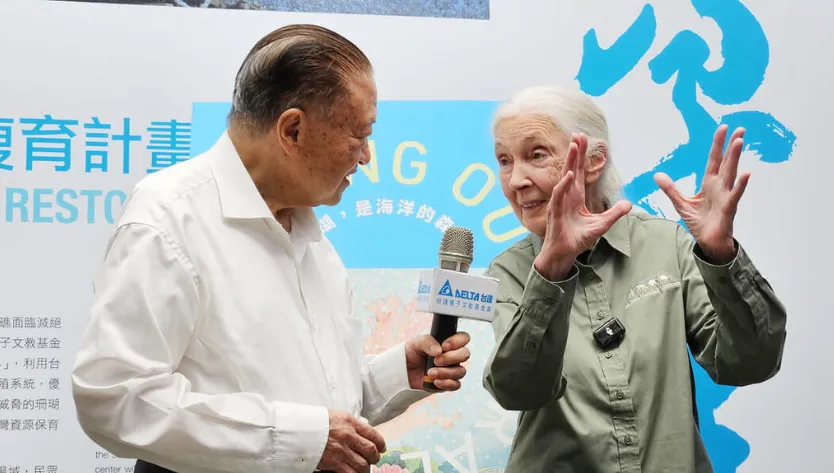 國際知名生態學家珍古德(右)曾於今年6月訪台,並與台達集團創辦人鄭崇華(左)相見歡,2人皆長期推動生態保護與環境永續。中央社