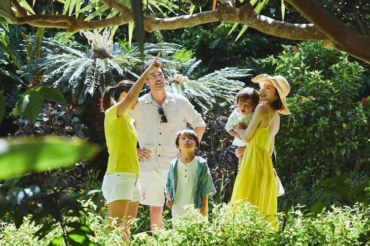 日本石垣島春節包機直飛假期，適合全家一同享受沖繩海島氛圍。業者提供