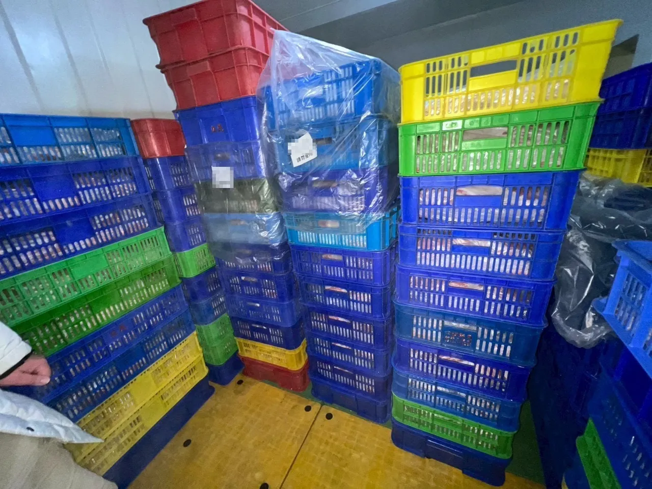 卫生局截获405公斤有疑虑猪肉。卫生局提供