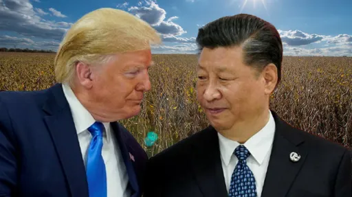 降稅換買黃豆！華爾街日報：美降低芬太尼關稅10%　中恢復購買農產品