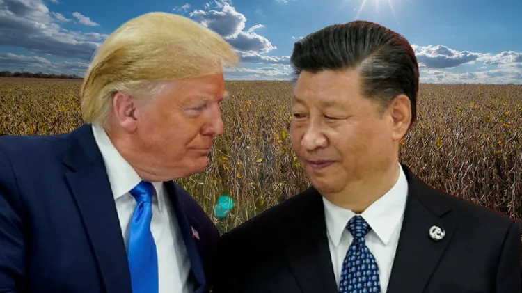 美国总统川普 (左)将与中国国家主席习近平会面。合成画面。背景为美国黄豆田。美联社