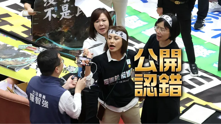 民進黨立委邱議瑩於去年5月，爆氣打臉國民黨立委羅智強。資料照，莊宗達攝