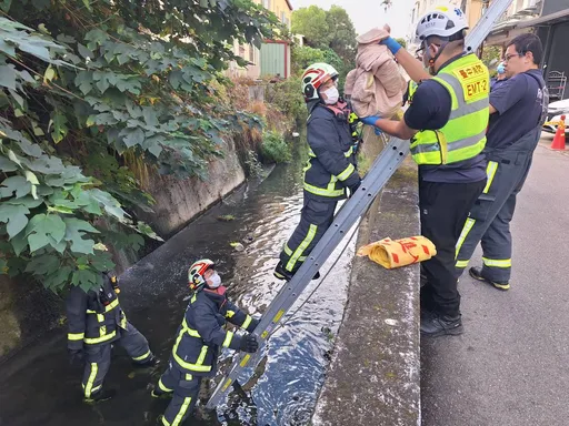 新生兒竟丟大排水溝　救起已明顯死亡　警追生母釐清案情
