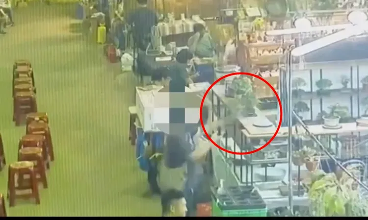 蔡嫌伸手將盆栽取下，接著假裝沒事離開現場，手法相當老練。翻攝畫面