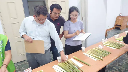 三芝茭白笋争霸赛「最甜笋王」出炉 体大口感细嫩「甜度6.5如吃水蜜桃」