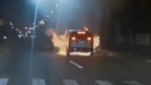 中国电动车行驶时「自动火烧车」　理想汽车认错宣布召修1.1万辆