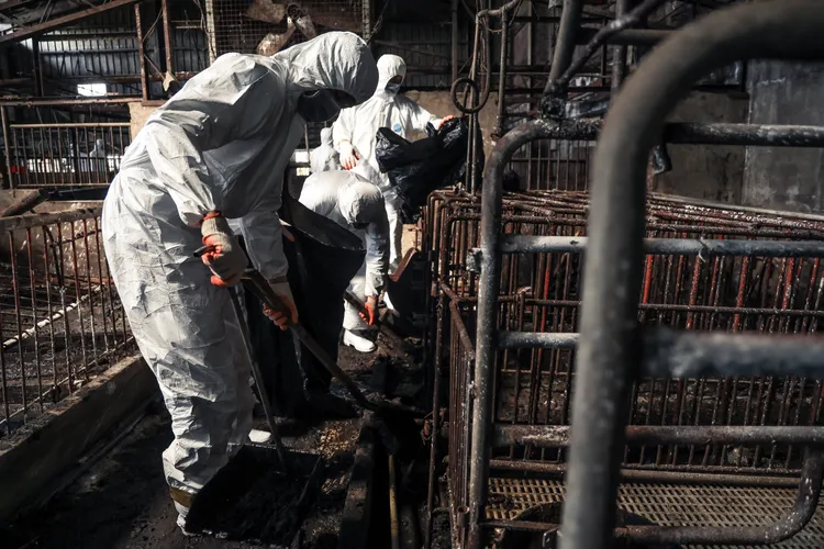 案例場髒亂不堪，軍方人員協助清消。十軍團提供