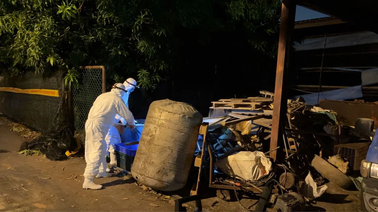軍方與台中動保處合力在案例養豬場清消。市府提供