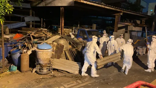非洲豬瘟養豬場髒亂超出預期　110名化學兵清消兩輪才完成
