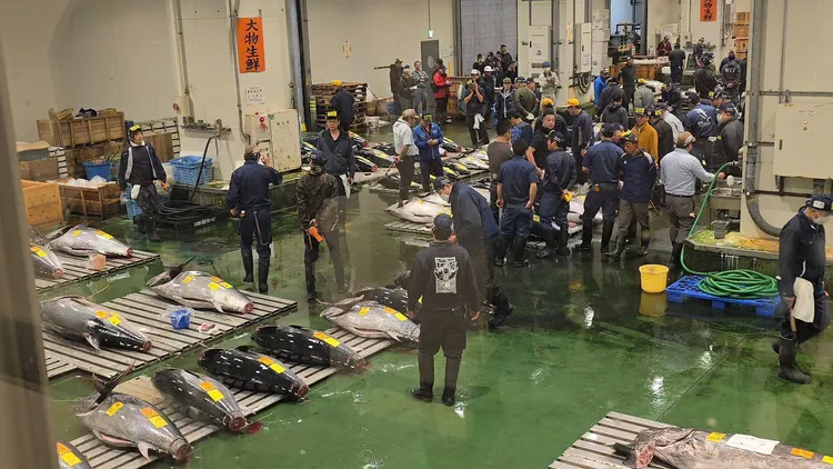 基隆市長謝國樑赴日取經，前往豐州市場、築地場外市場考察，作為未來推動基隆崁仔頂魚市的轉型與活化參考。市府提供