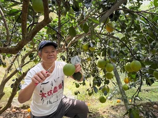大坑農場「水果公益專車」連辦5年 「木瓜柳丁」前進花蓮光復替鄉親打氣