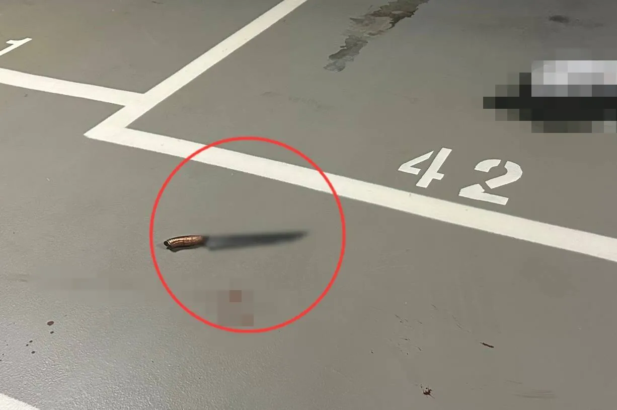 警方起獲作案刀械。警方提供