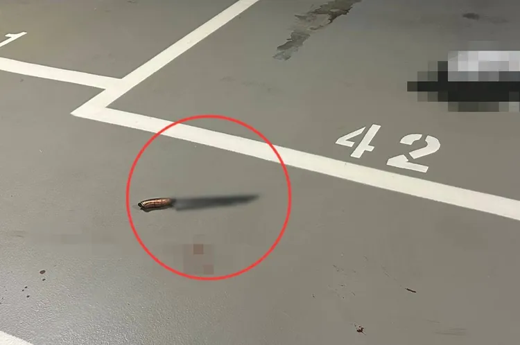 警方起獲作案刀械。警方提供