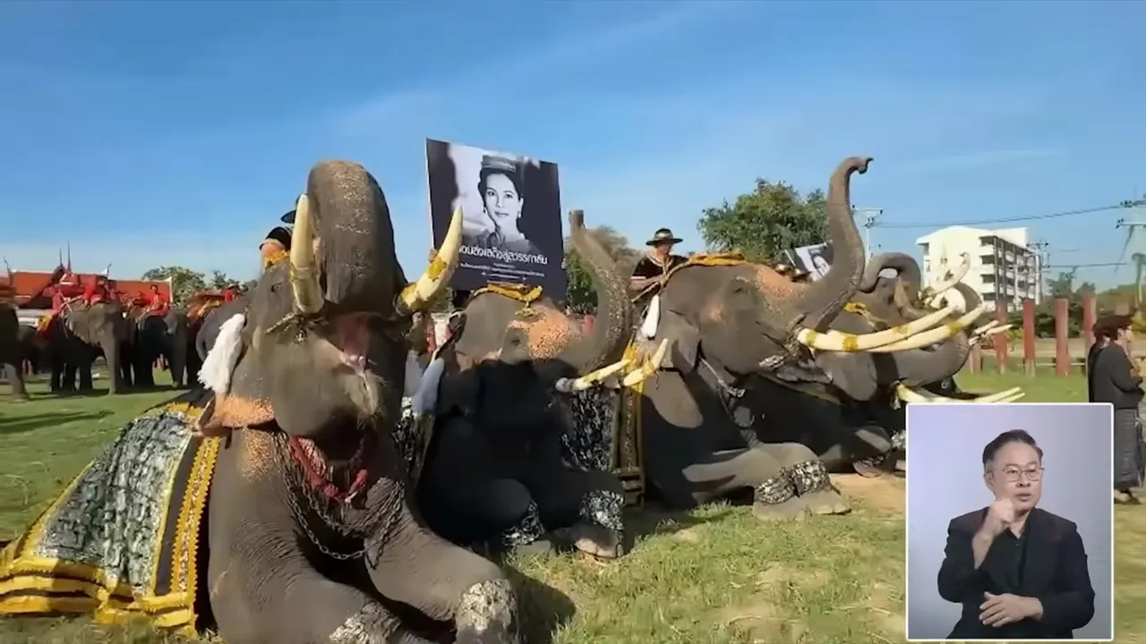 大城府象宫举行仪式,象群在引导下做出致敬动作。翻摄Youtube