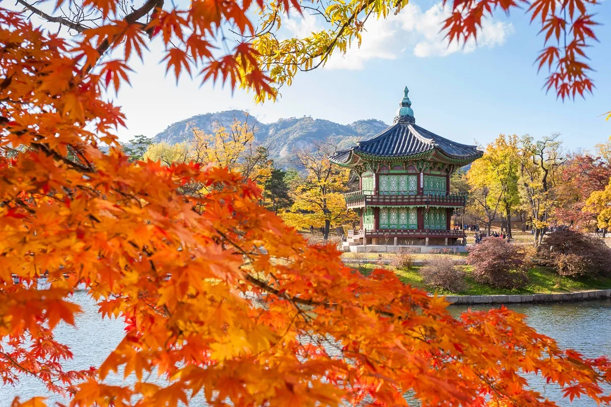 韩国赏枫季约于10月中下旬开跑,赴韩追枫搭华航,最低9千有找即可出发。业者提供