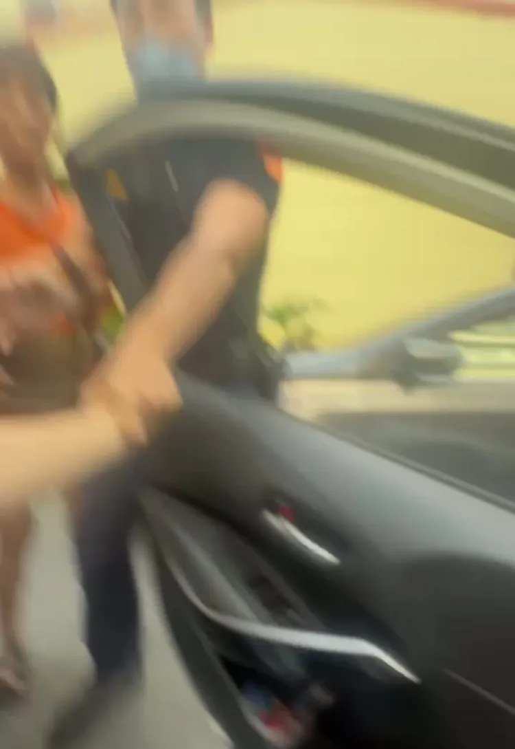 馮男嗆警察是「有牌流氓」，警察隨即將男子拉下車。翻攝畫面