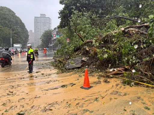豪雨狂下!汐止康宁街边坡崩塌「树倒、土石泥流满地」 封2车道上班车潮大崩溃