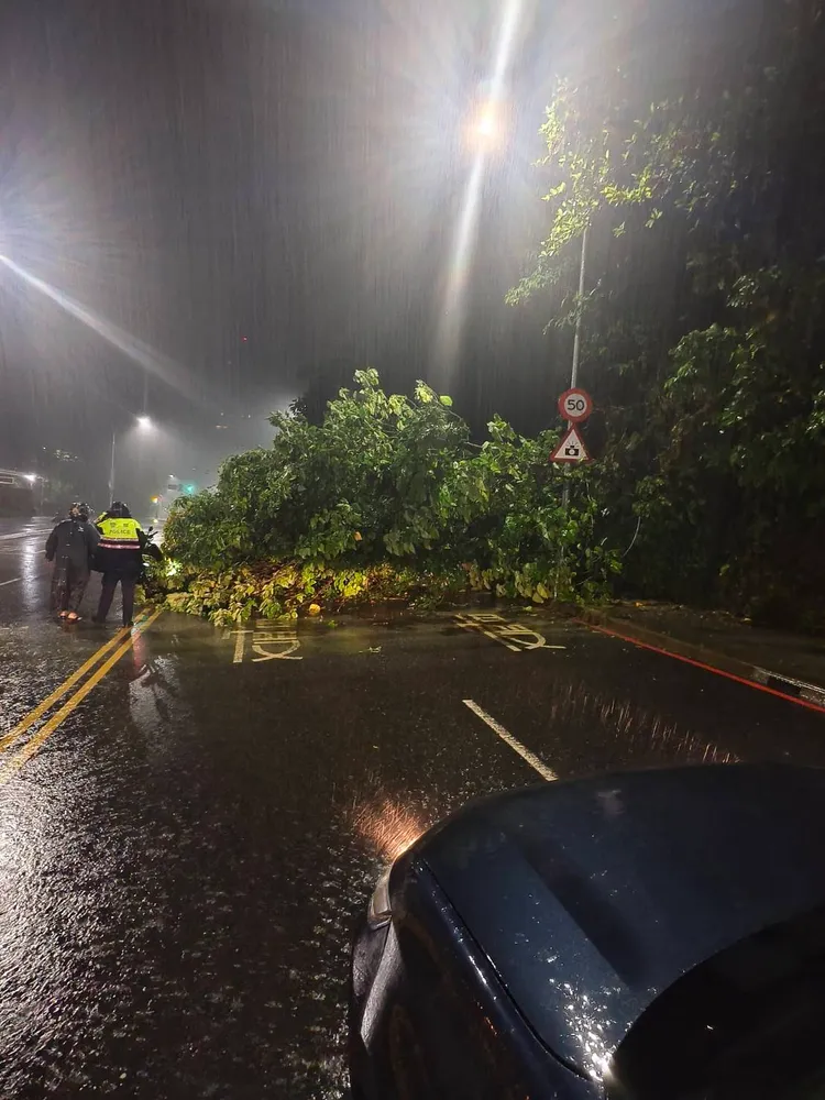 原本四線道只剩兩線道通行，汐止區一早交通大打結。翻攝畫面