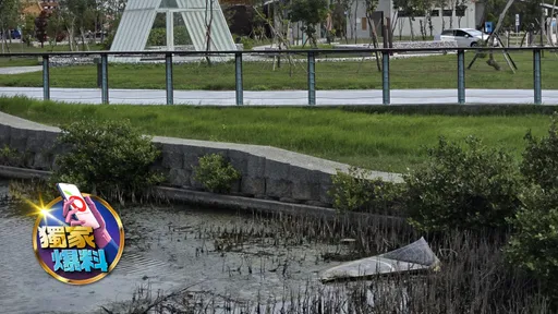 独家爆料｜台南最美风景是光电板？风灾已3个月却还有光电板　管理处回应了