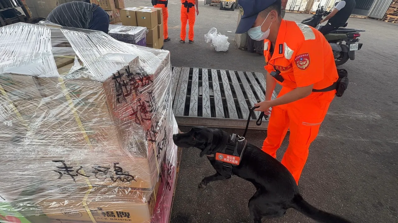 海巡署出动侦搜犬进行拆检。翻摄画面