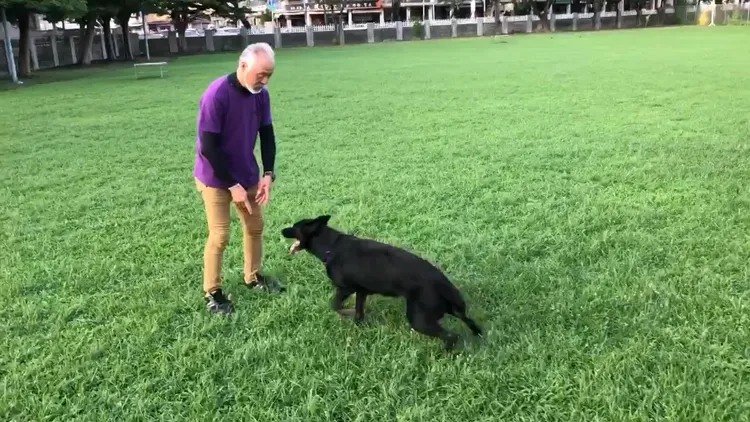 日本RDTA協會理事長村瀨英博來台交流，幫葉嘉耀調整教學麗蓋兒動作。葉嘉耀提供