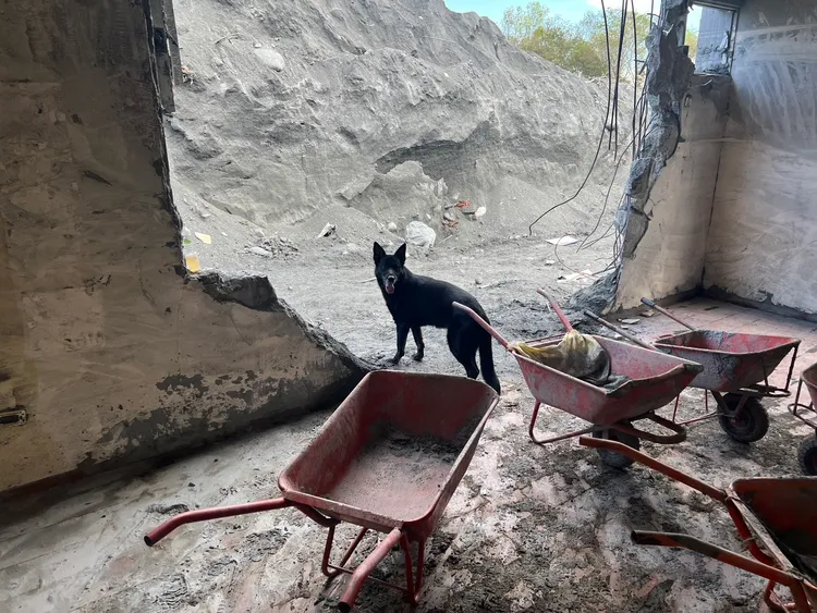 麗蓋兒日前到花蓮支援馬太鞍堰塞湖救災。葉嘉耀提供